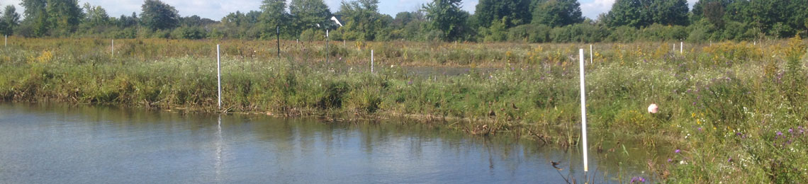 GJF Research Ponds