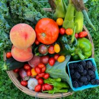 4_Share Baskets_55 (2)