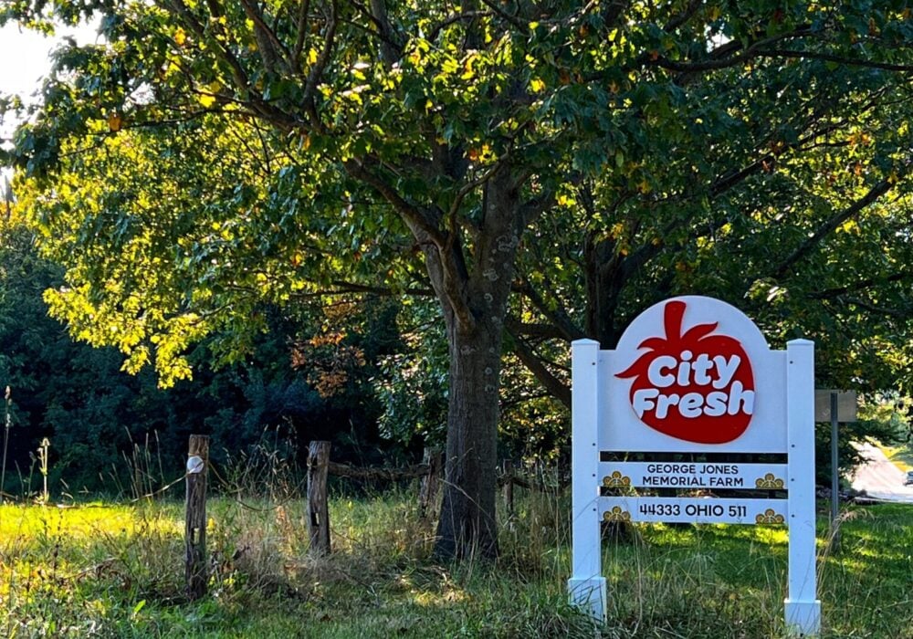 City Fresh at George Jones Farm You'll know you've arrived when you see the City Fresh strawberry logo at George Jones Farm!