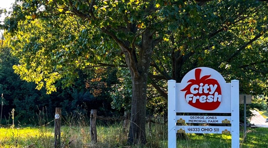 You'll know you've arrived when you see the City Fresh strawberry logo at George Jones Farm!