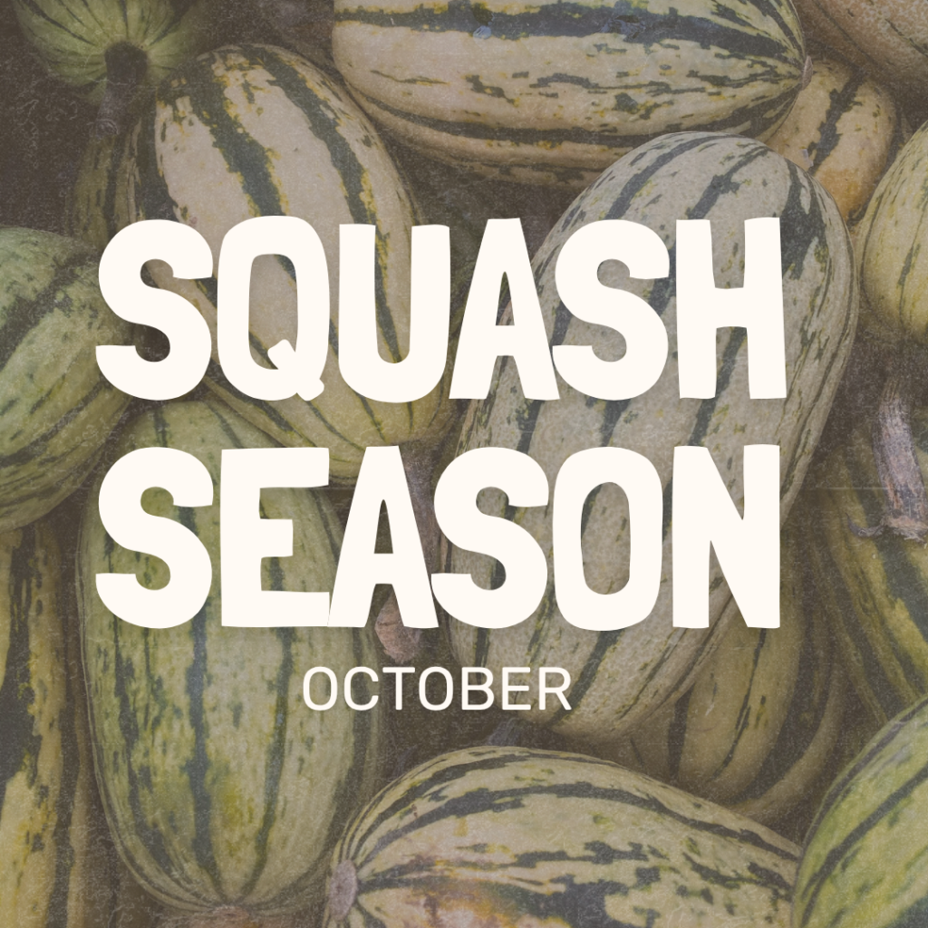 Squash Season Prizes