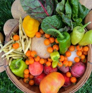 Example August Family Share A wicker basket filled with colorful vegetables and fruits, including bell peppers, cherry tomatoes, leafy greens, and melons, set against a grassy background.