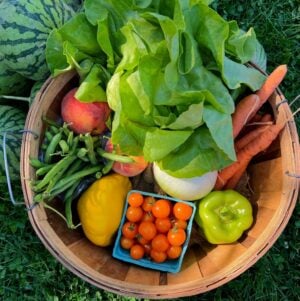 Example August Single Share A wooden basket full of fresh produce, including lettuce, peaches, carrots, green beans, a yellow bell pepper, and cherry tomatoes, with watermelons in the background.