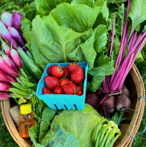 Example June Single Share A wooden basket filled with fresh vegetables includes leafy greens, purple radishes, green scallions, a turquoise basket of strawberries, a round cabbage, and a honey bear bottle.