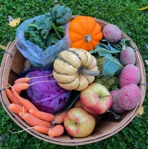 Example November Single Share A wooden basket filled with assorted vegetables and fruits, including a pumpkin, gourd, cabbage, spinach, carrots, apples, and radishes, set against a grassy background.