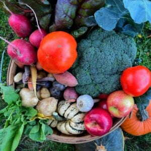 Example October Family Share A basket filled with an assortment of fresh vegetables, including tomatoes, broccoli, sweet potatoes, carrots, squash, and apples, resting on green grass.