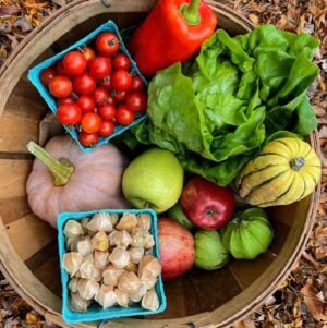 Example October Single Share A basket filled with various fresh vegetables and fruits, including tomatoes, a bell pepper, lettuce, a pumpkin, apples, squash, and husked fruits.