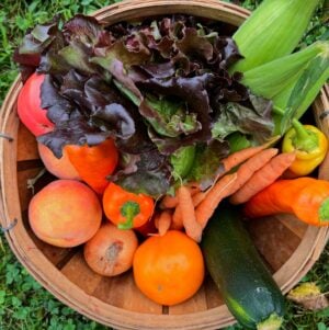 Example September Single Share A wooden basket filled with assorted fresh produce, including lettuce, peaches, peppers, carrots, and a zucchini, on a grassy background.