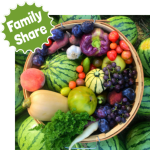 Family Share Example Wooden basket surrounded by watermelons with a City Fresh family share: watermelon, peach, plums, tomatoes, grapes, winter squash, peppers