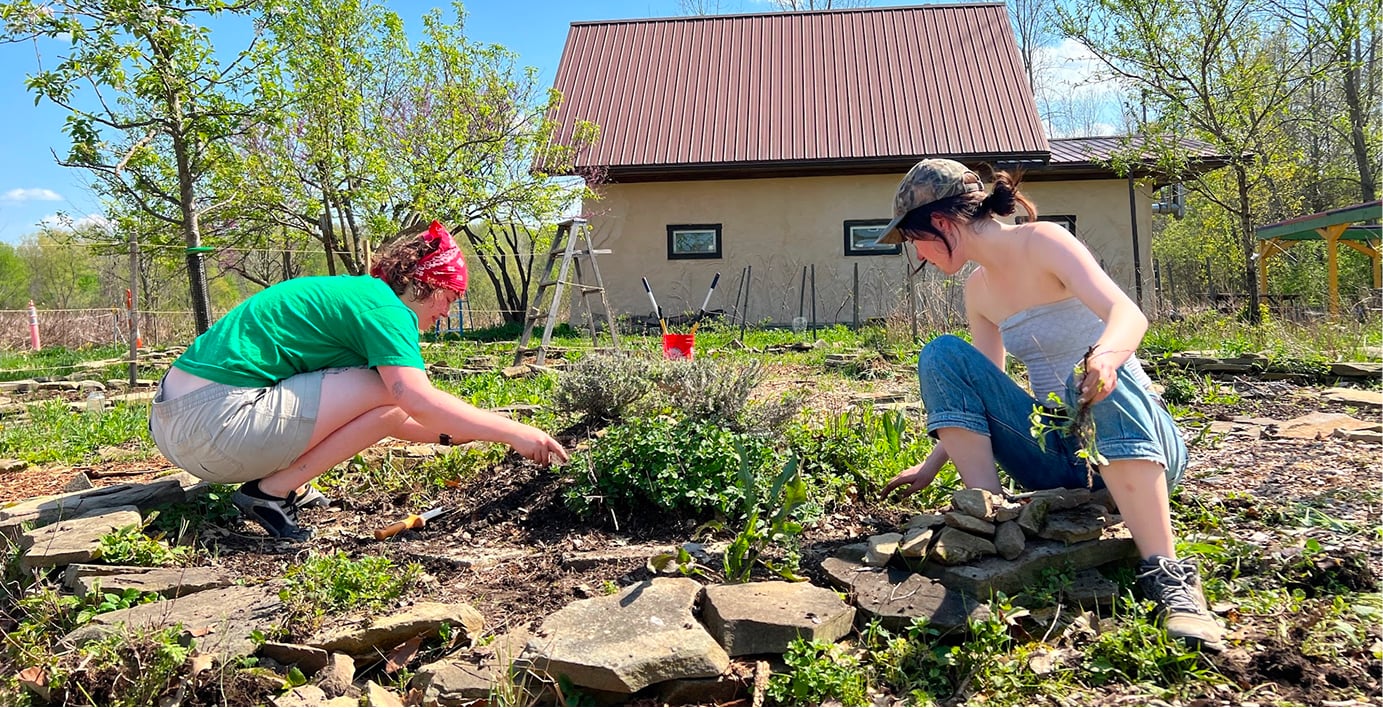 Volunteer-Farm-v2