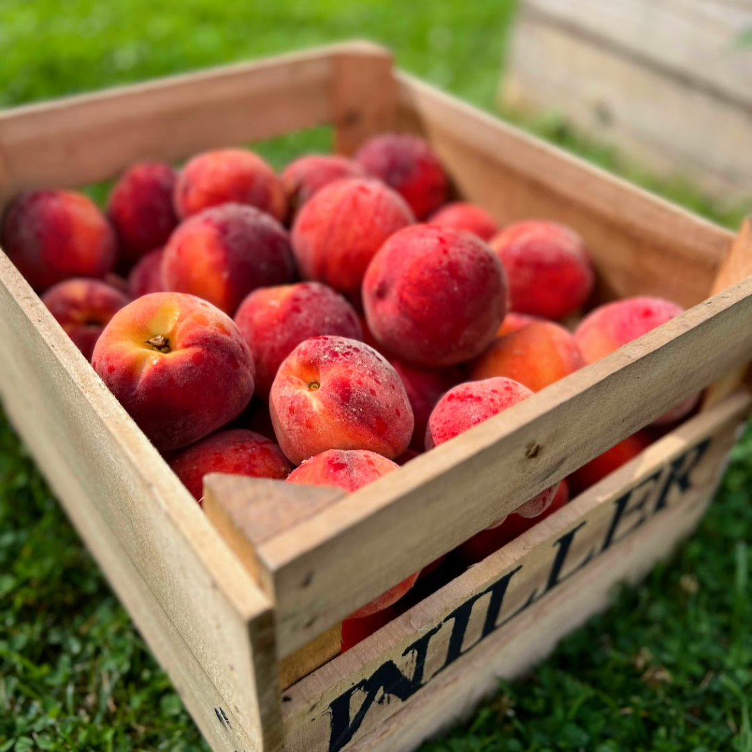 City Fresh Peach Pack: $30 for a peck or $60 for a crate (half bushel) of fresh peaches. Generally available July-August.