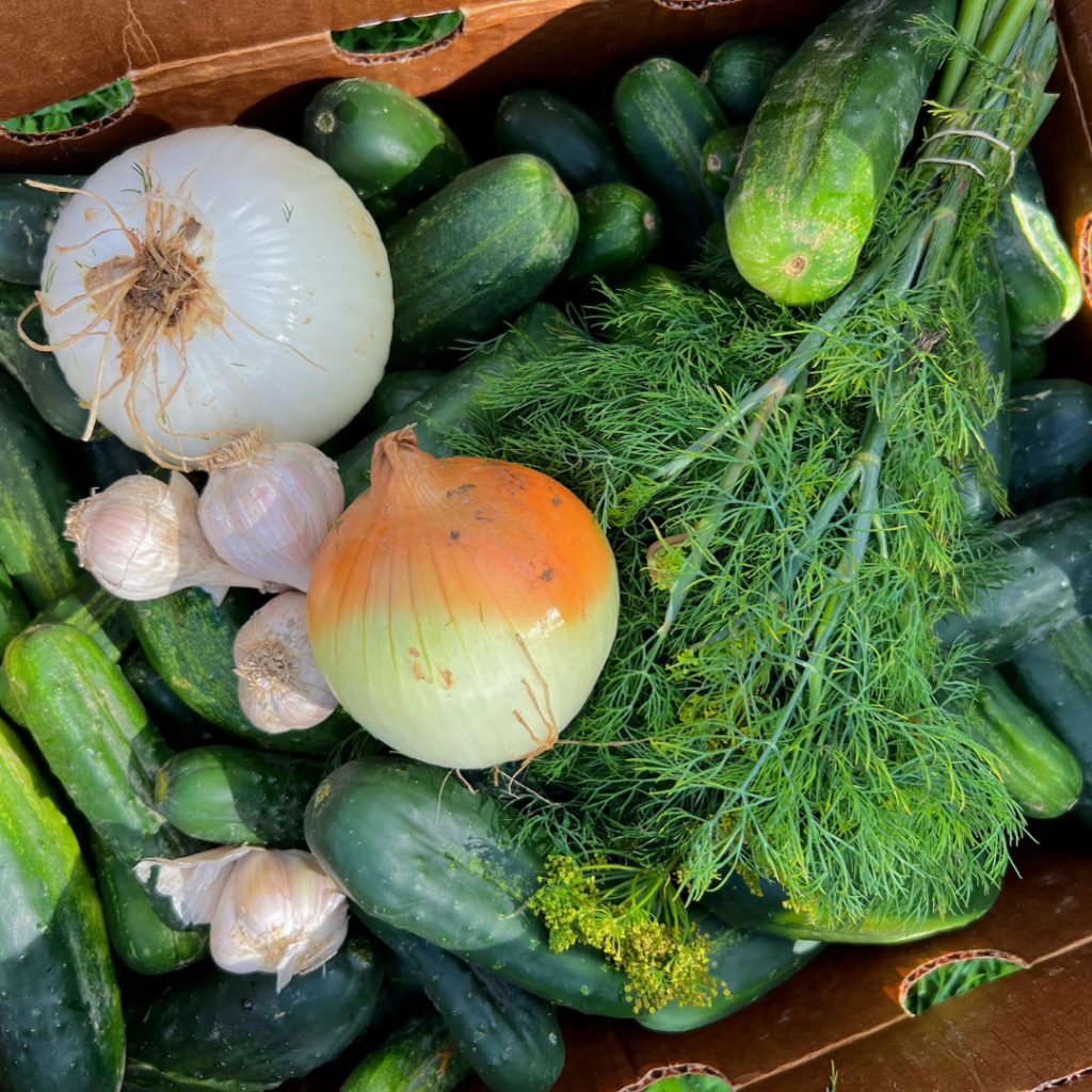 City Fresh Pickle Pack: $40 for a half bushel of pickling cucumbers, onions, garlic, and dill. Generally available July-August.