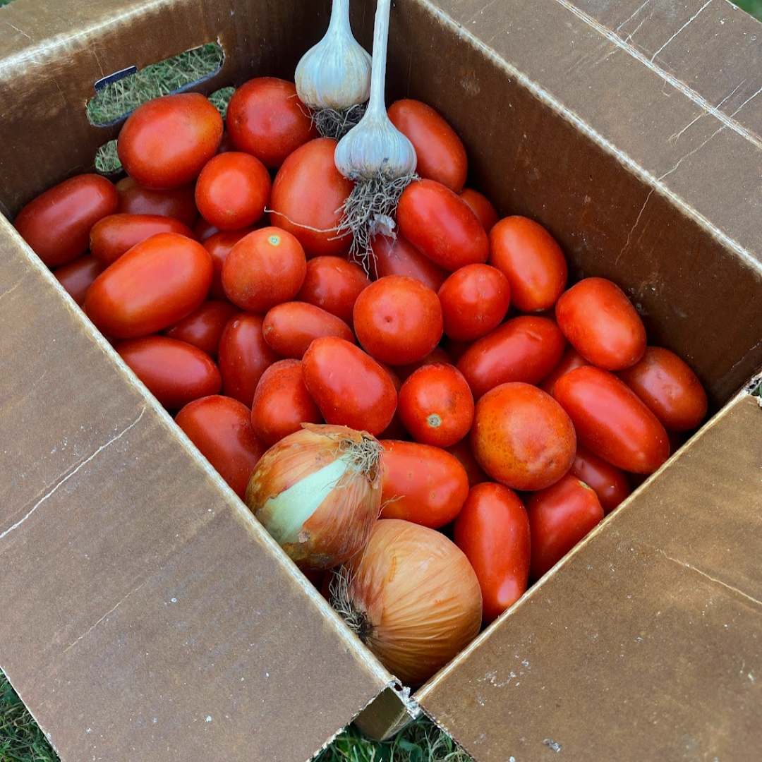 City Fresh Tomato Pack: Half bushel Roma OR San Marzano tomatoes with optional onion, garlic, and basil add-on. $30-45. Generally available in August.